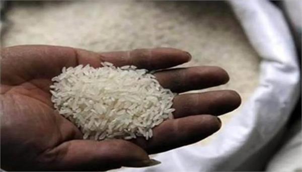 now crisis in rice market