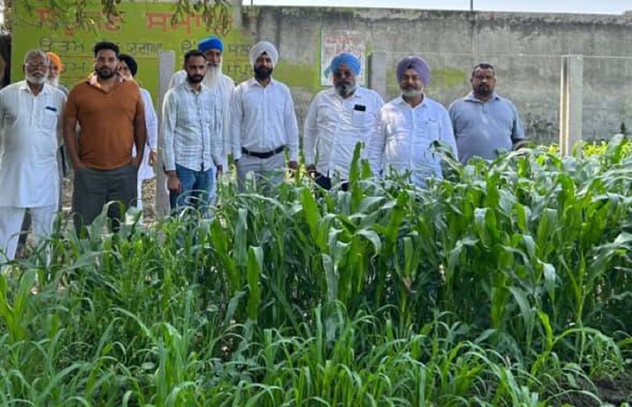 ਸੁਲਤਾਨਪੁਰ ਲੋਧੀ ''ਚ ਪ੍ਰਸ਼ਾਸਨ ਦੀ ਵੱਡੀ ਕਾਰਵਾਈ: 6 ਕਨਾਲ 10 ਮਰਲੇ ਪੰਚਾਇਤੀ ਜ਼ਮੀਨ ਤੋਂ ਛੁਡਾਇਆ ਨਾਜਾਇਜ਼ ਕਬਜ਼ਾ