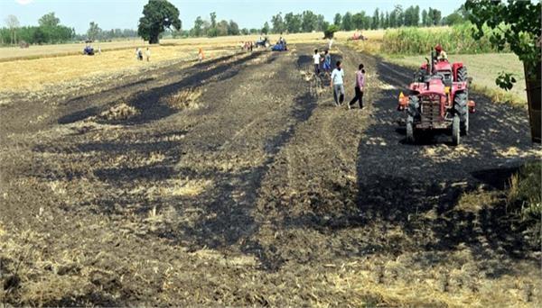 spark from reaper causes fire stubble and wheat burnt to ashes