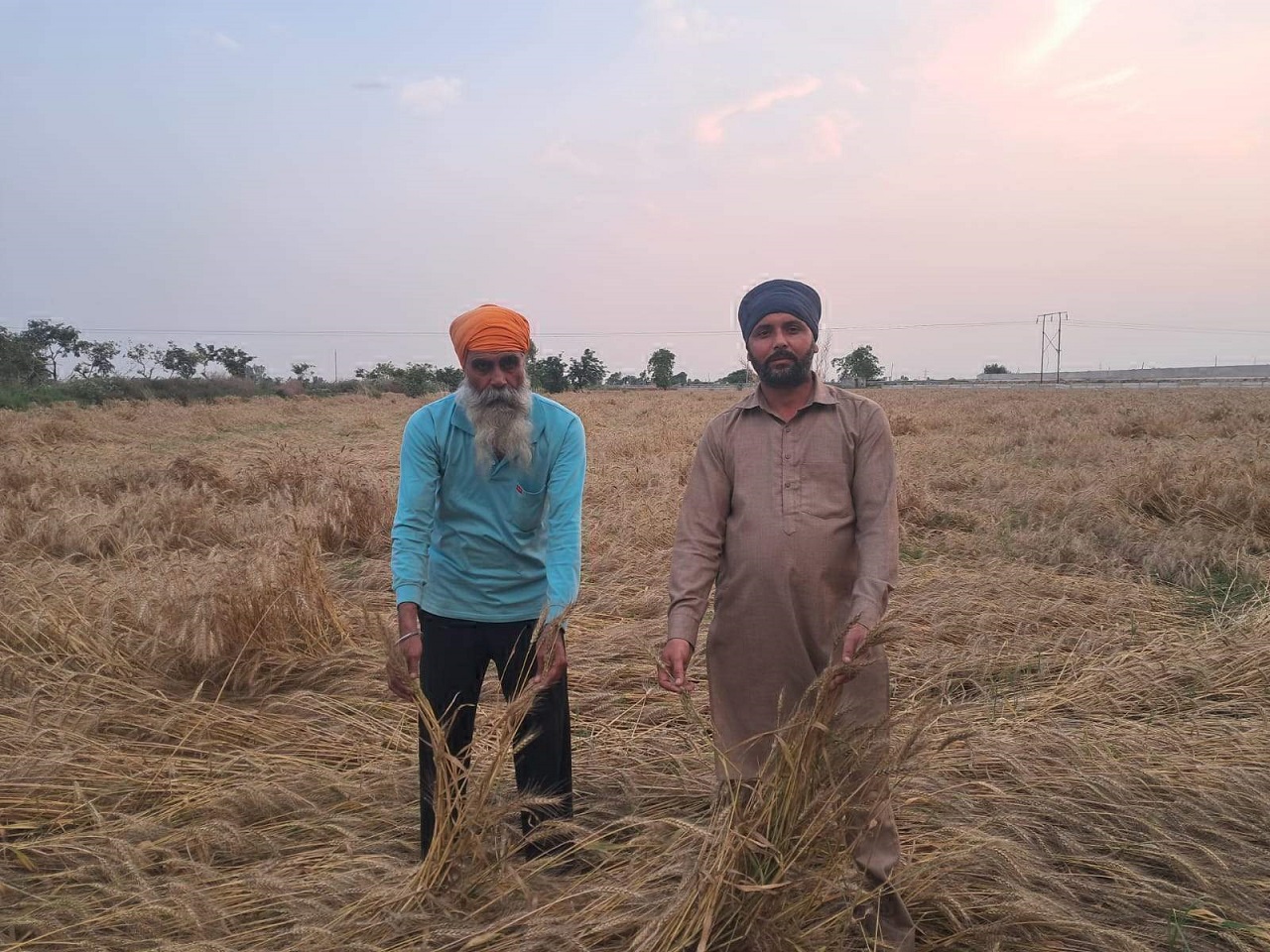 ਅੰਮ੍ਰਿਤਸਰ ’ਚ ਕੁਦਰਤ ਦਾ ਕਹਿਰ: ਬੇਮੌਸਮੇ ਮੀਂਹ ਨੇ ਕਿਸਾਨਾਂ ਦੇ ਸਾਹ ਸੂਤੇ, ਸਾਲ ਭਰ ਦੀ ਮਿਹਨਤ ’ਤੇ ਫਿਰਿਆ ਪਾਣੀ