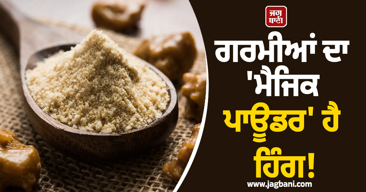 ਗਰਮੀਆਂ ਦਾ 'ਮੈਜਿਕ ਪਾਊਡਰ' ਹੈ ਹਿੰਗ! ਜਾਣ ਲਓ ਇਸ ਦੇ ਖਾਣ ਦੇ ਹੈਰਾਨੀਜਨਕ ਫਾਇਦੇ