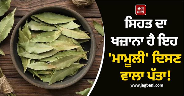 benefits of tej patta
