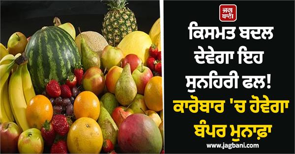 this golden fruit will change your destiny