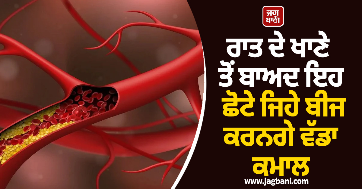 ਕੋਲੇਸਟ੍ਰੋਲ ਦੀ ਹੋ ਜਾਵੇਗੀ ਪੱਕੀ ਛੁੱਟੀ! ਰਾਤ ਦੇ ਖਾਣੇ ਤੋਂ ਬਾਅਦ ਇਹ ਛੋਟੇ ਜਿਹੇ ਬੀਜ ਕਰਨਗੇ ਵੱਡਾ ਕਮਾਲ, ਜਾਣੋ ਤਰੀਕ