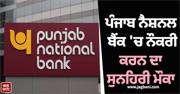 punjab national bank  job  recruitment  apply