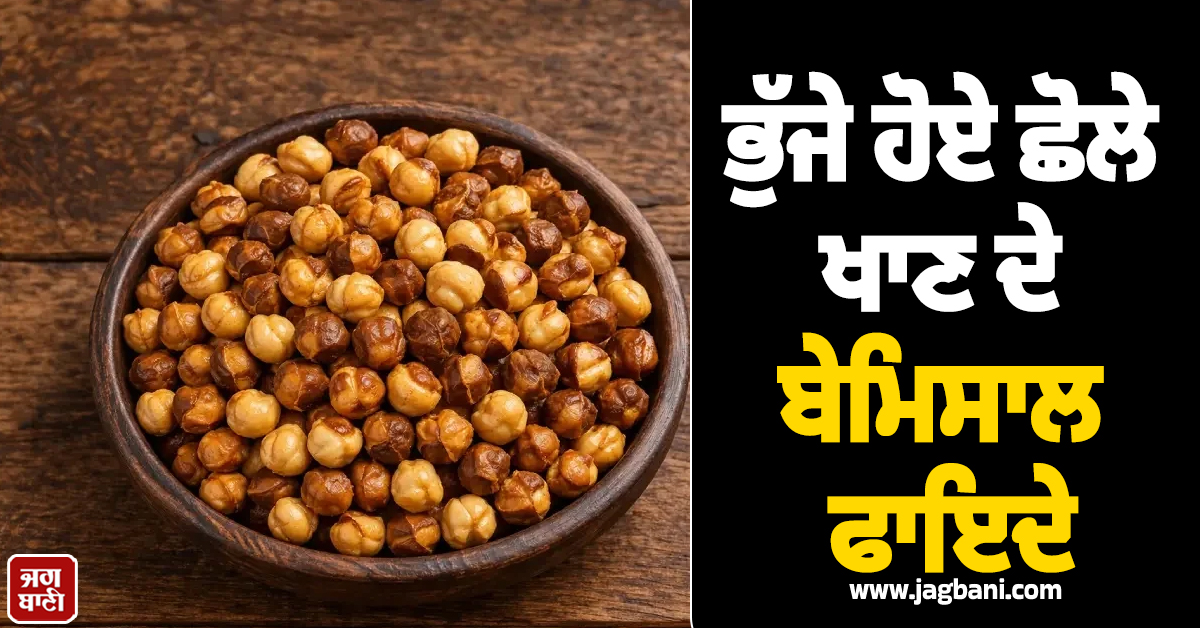 ਸ਼ੂਗਰ, ਕਬਜ਼ ਅਤੇ ਵਧਦੇ ਭਾਰ ਤੋਂ ਪਰੇਸ਼ਾਨ ਹੋ? ਭੁੱਜੇ ਹੋਏ ਛੋਲੇ ਹਨ ਰਾਮਬਾਣ ਇਲਾਜ