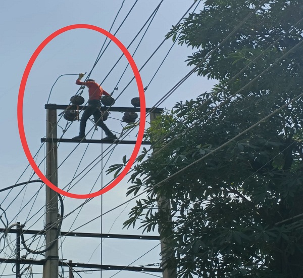 ਪਾਵਰਕਾਮ ਦੇ ਮੁਲਾਜ਼ਮਾਂ ਲਈ ਵੱਡੇ ਖ਼ਤਰੇ ਦੀ ਘੰਟੀ! ਡਿਊਟੀ ਕਰਦਿਆਂ ਕਿਸੇ ਵੀ ਵੇਲੇ ਹੋ ਸਕਦੈ...