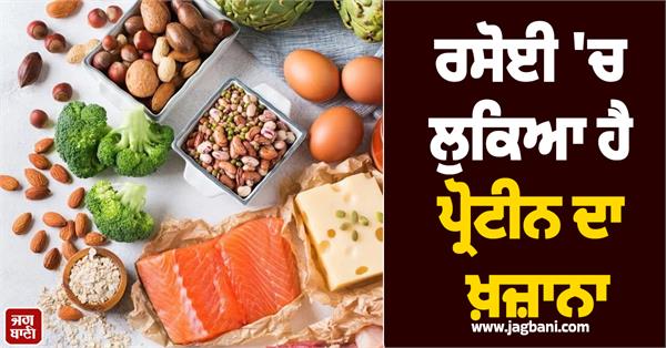 there is a hidden treasure of protein in the kitchen 