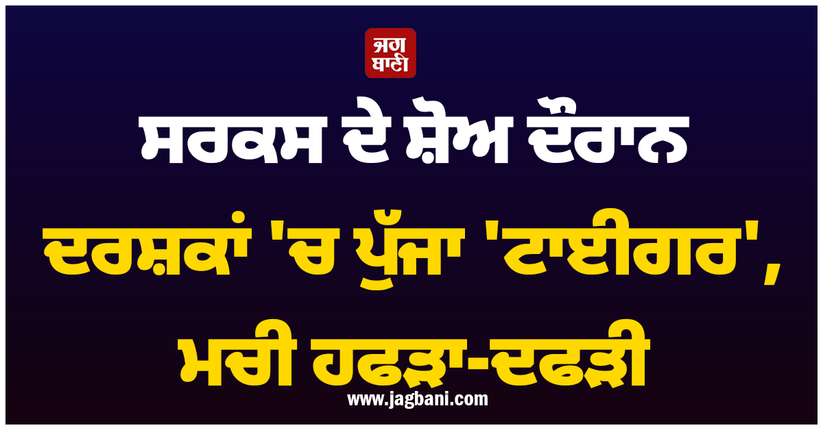 ਰੂਸ 'ਚ ਸਰਕਸ ਦੇ ਸ਼ੋਅ ਦੌਰਾਨ ਦਰਸ਼ਕਾਂ 'ਚ ਪੁੱਜਾ 'ਟਾਈਗਰ', ਮਚੀ ਹਫੜਾ-ਦਫੜੀ