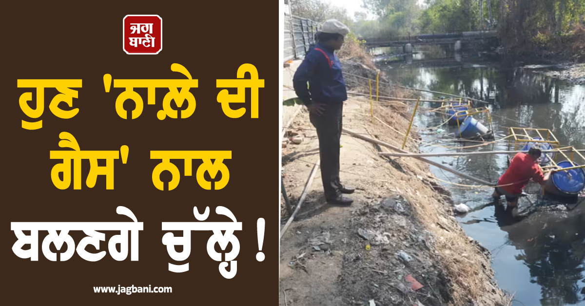 ਹੁਣ ''ਨਾਲ਼ੇ ਦੀ ਗੈਸ'' ਨਾਲ ਬਲਣਗੇ ਚੁੱਲ੍ਹੇ ! LPG ਦੀ ਕਿੱਲਤ ਦਾ ਲੋਕਾਂ ਨੇ ਲੱਭਿਆ ਅਨੋਖਾ ਹੱਲ