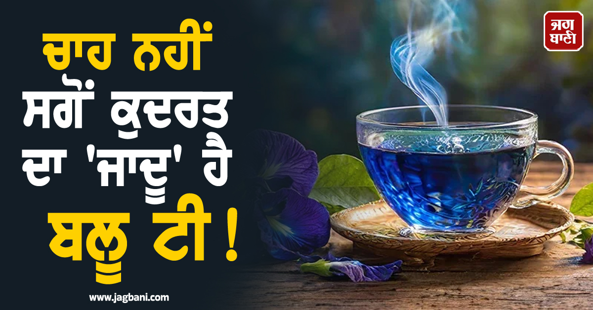ਚਾਹ ਨਹੀਂ ਸਗੋਂ ਕੁਦਰਤ ਦਾ 'ਜਾਦੂ' ਹੈ ਬਲੂ ਟੀ! ਜਾਣੋ ਬਣਾਉਣ ਦਾ ਤਰੀਕੇ ਤੇ ਹੈਰਾਨੀਜਨਕ ਫਾਇਦੇ
