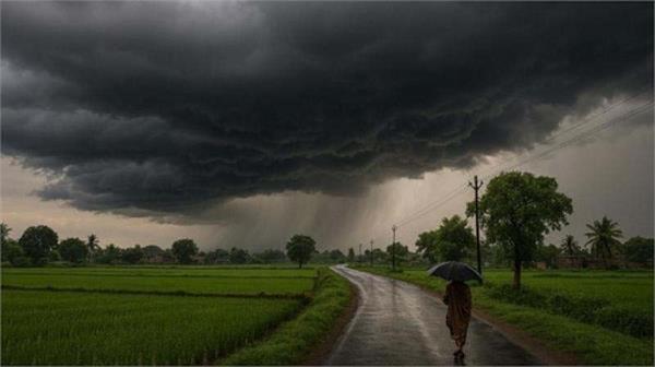 the weather has changed in amritsar