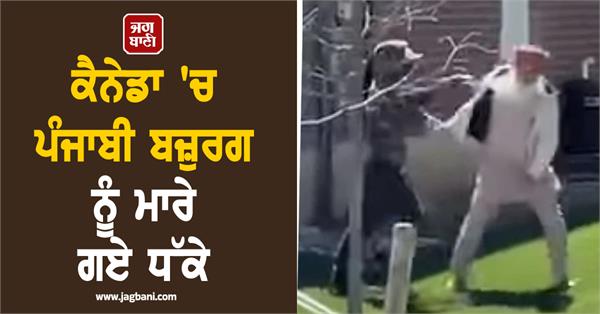 punjabi elderly man beaten in canada