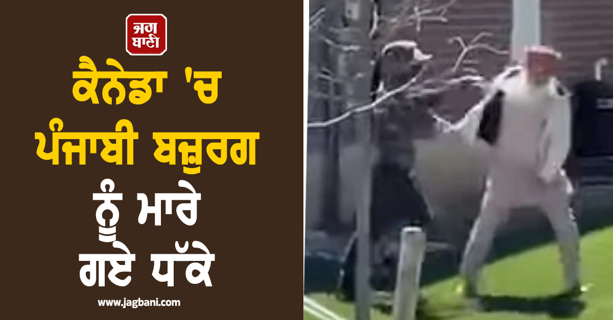 ਕੈਨੇਡਾ 'ਚ ਪੰਜਾਬੀ ਬਜ਼ੁਰਗ ਨੂੰ ਮਾਰੇ ਗਏ ਧੱਕੇ, ਪੁਲਿਸ ਨੇ ਦੋਸ਼ੀ ਨੂੰ ਮੌਕੇ 'ਤੇ ਦਬੋਚਿਆ