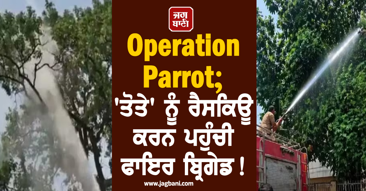 Operation Parrot ; ''ਤੋਤੇ'' ਨੂੰ ਰੈਸਕਿਊ ਕਰਨ ਪਹੁੰਚੀ ਫਾਇਰ ਬ੍ਰਿਗੇਡ ! ਵਹਾ''ਤਾ ਹਜ਼ਾਰਾਂ ਲੀਟਰ ਪਾਣੀ