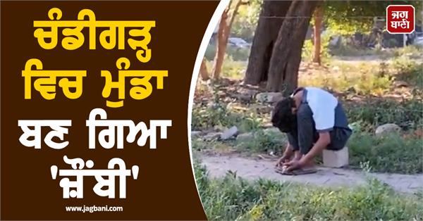 chandigarh zombie video