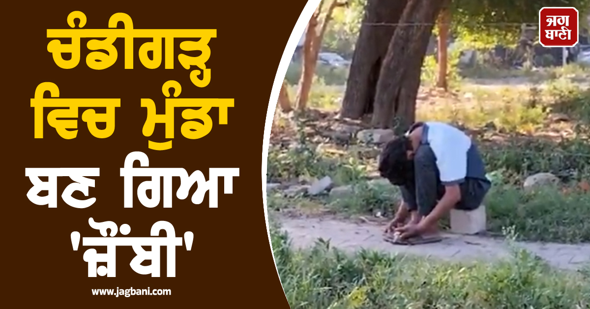 ਚੰਡੀਗੜ੍ਹ ਵਿਚ ਮੁੰਡਾ ਬਣ ਗਿਆ ''ਜ਼ੌਂਬੀ'', ਵਾਇਰਲ ਵੀਡੀਓ ਨੇ ਫ਼ਿਕਰਾਂ ''ਚ ਪਾਏ ਲੋਕ