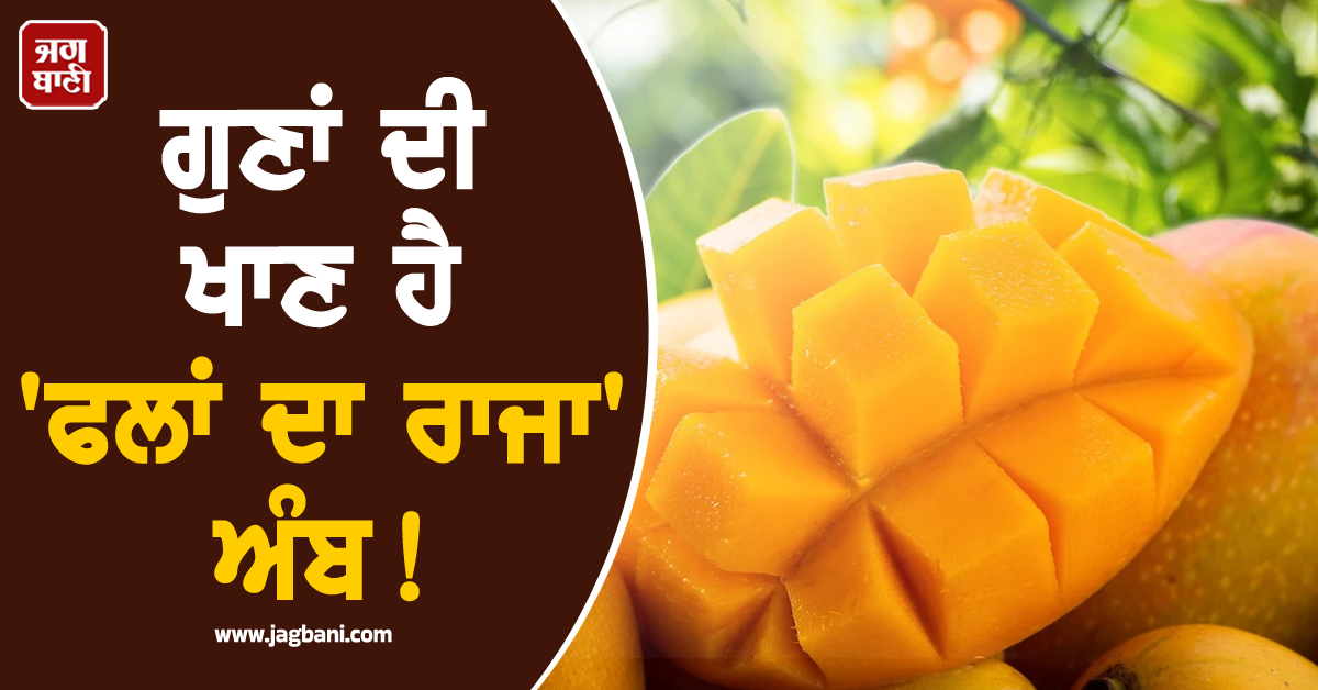ਗੁਣਾਂ ਦੀ ਖਾਣ ਹੈ 'ਫਲਾਂ ਦਾ ਰਾਜਾ' ਅੰਬ! ਜਾਣੋ ਇਸ ਦੇ ਚਮਤਕਾਰੀ ਫਾਇਦਿਆਂ ਬਾਰੇ