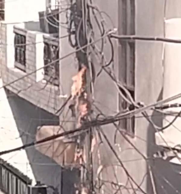 massive fire engulfs power lines in grover colony