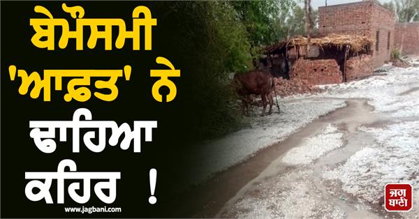 hailstorm  crops  farmers  white sheet of snow