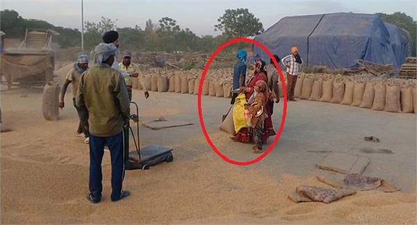 a group of women and children are stealing wheat from the market