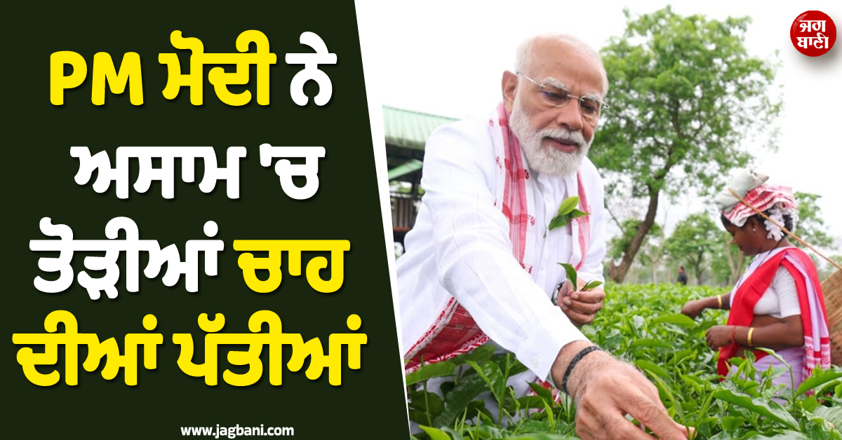 ਅਸਾਮ ਪਹੁੰਚੇ PM ਮੋਦੀ ! ਚਾਹ ਦੇ ਬਾਗ ''ਚ ਮਹਿਲਾ ਕਾਮਿਆਂ ਨਾਲ ਤੋੜੀਆਂ ਪੱਤੀਆਂ