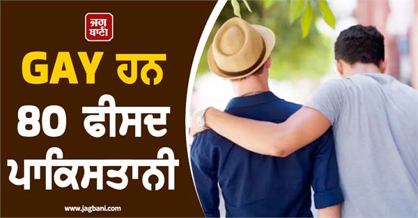 80 percent of pakistans are gay