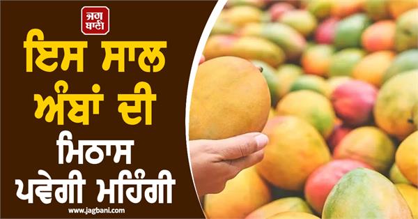 mangoes will be expensive  prices may increase