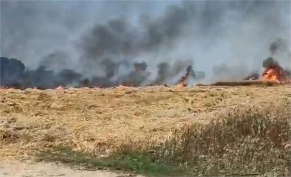 terrible fire broke out in 9 fields of a farmer
