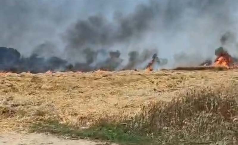 ਅੱਖਾਂ ਸਾਹਮਣੇ ਟੁੱਟੇ ਕਿਸਾਨ ਦੇ ਸੁਫ਼ਨੇ! 9 ਖੇਤਾਂ ਨੂੰ ਲੱਗੀ ਭਿਆਨਕ ਅੱਗ, ਪੁੱਤਾਂ ਵਾਂਗ ਪਾਲੀ ਫ਼ਸਲ ਸੜ ਕੇ ਹੋਈ ਸੁਆਹ