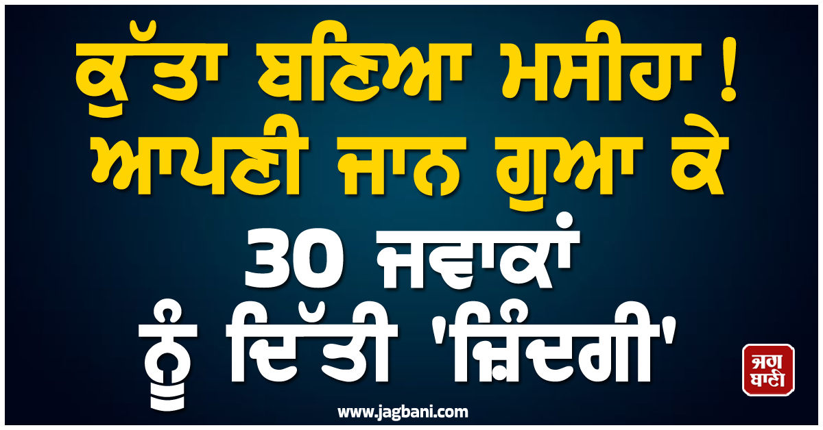 ਕੁੱਤਾ ਬਣਿਆ ਮਸੀਹਾ ! ਆਪਣੀ ਜਾਨ ਗੁਆ ਕੇ 30 ਜਵਾਕਾਂ ਨੂੰ ਦਿੱਤੀ ''ਜ਼ਿੰਦਗੀ''