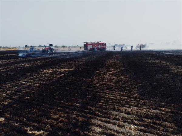 wheat crop  fire in fields