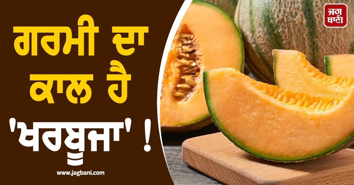 ਗਰਮੀ ਦਾ ਕਾਲ ਹੈ 'ਖਰਬੂਜਾ'! ਇਸ ਦੇ ਫਾਇਦੇ ਜਾਣ ਹੋ ਜਾਓਗੇ ਹੈਰਾਨ