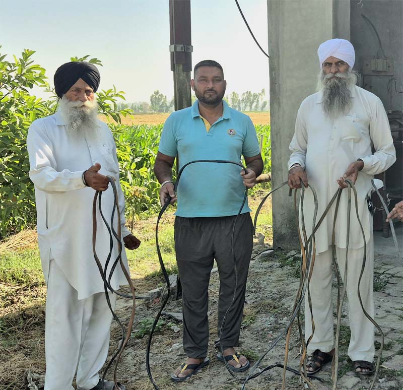 ਚੋਰਾਂ ਨੇ ਖੇਤੀਬਾੜੀ ਸੈਕਟਰ ਨੂੰ ਬਣਾਇਆ ਨਿਸ਼ਾਨਾ, ਪਾਣੀ ਵਾਲੀਆਂ ਮੋਟਰਾਂ ਦੀਆਂ ਬਿਜਲੀ ਸਪਲਾਈ ਤਾਰਾਂ ਚੋਰੀ