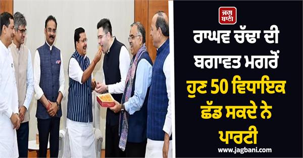 raghav chadha aam aadmi party alert