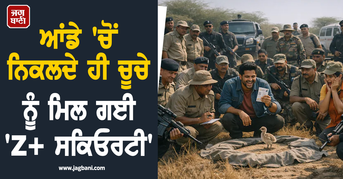 ਆਂਡੇ ''ਚੋਂ ਨਿਕਲਦੇ ਹੀ ਚੂਚੇ ਨੂੰ ਮਿਲ ਗਈ ''Z+ ਸਕਿਓਰਟੀ'', ਸੁਰੱਖਿਆ ''ਚ ਤਾਇਨਾਤ 50 ਜਵਾਨ