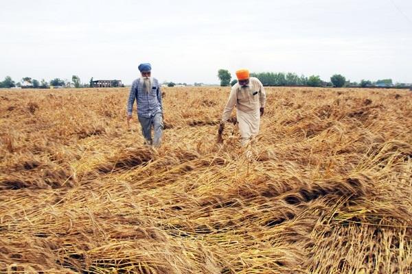 farmers problem in punjab