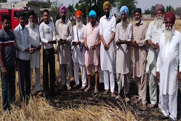 three acres of wheat burnt due to fire in standing crop