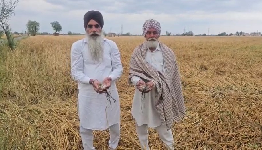 ਬੇਮੌਸਮੀ ਮੀਂਹ ਤੇ ਗੜੇਮਾਰੀ ਨਾਲ ਕਿਸਾਨਾਂ ਦੀਆਂ ਫ਼ਸਲਾਂ ਤਬਾਹ