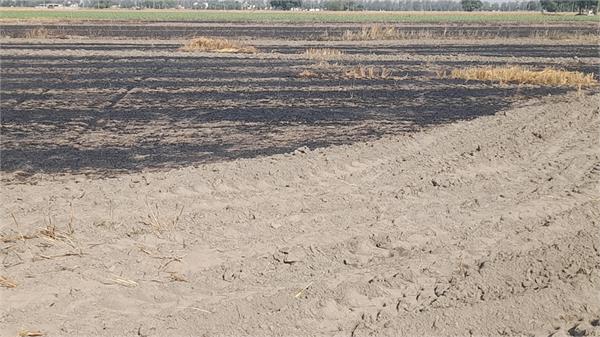 wheat crop caught fire