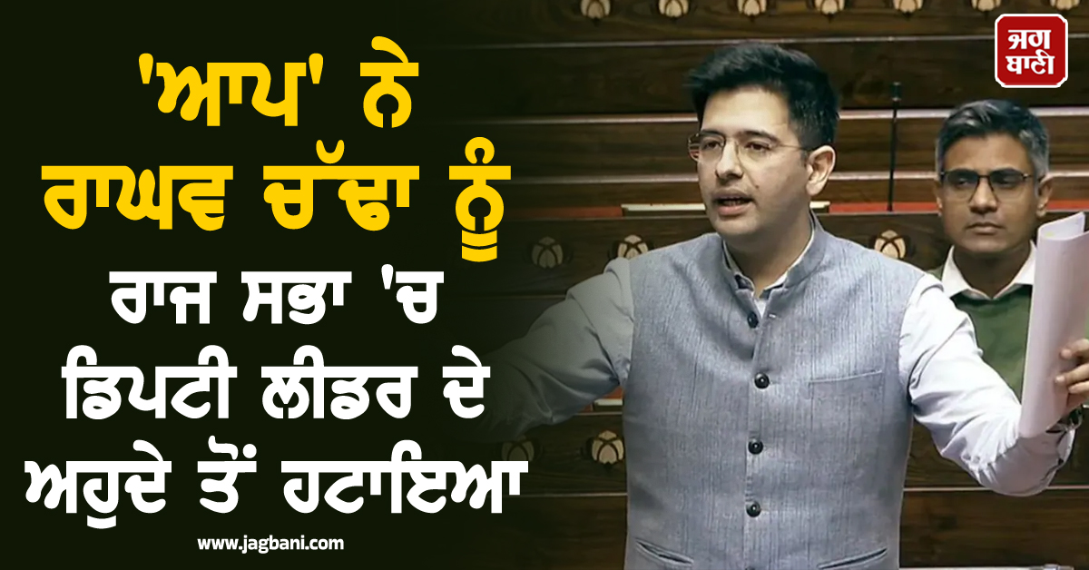 'ਆਪ' ਨੇ ਰਾਘਵ ਚੱਢਾ ਨੂੰ ਰਾਜ ਸਭਾ 'ਚ ਡਿਪਟੀ ਲੀਡਰ ਦੇ ਅਹੁਦੇ ਤੋਂ ਹਟਾਇਆ