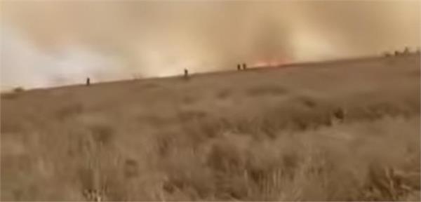 farmer  s 15 quintals of wheat rotted