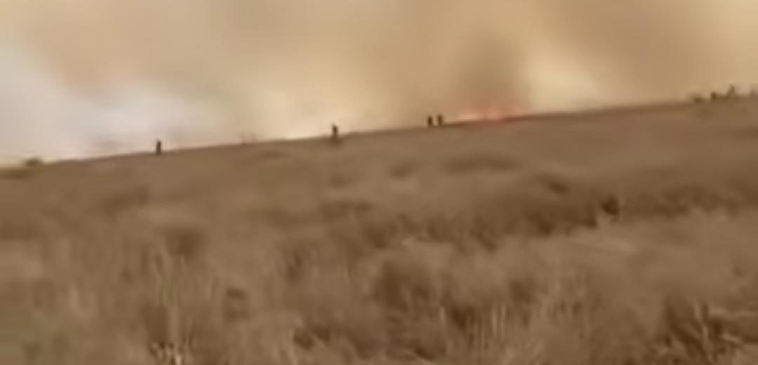 ਕਿਸਾਨ ਦੀ 15 ਕਿੱਲੇ ਕਣਕ ਸੜਕੇ ਹੋਈ ਸਵਾਹ