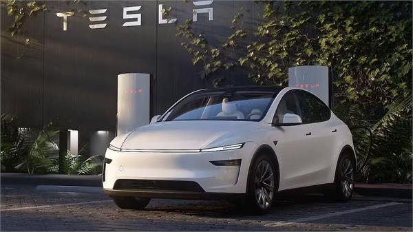 elon musk  s tesla flopped in india