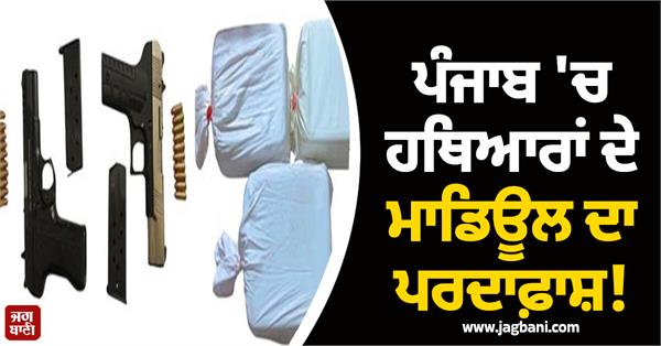 illegal weapons module busted in hoshiarpur four accused arrested