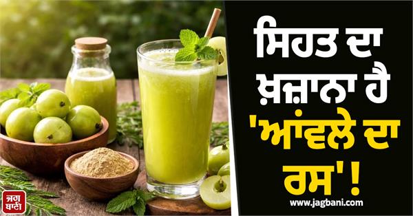 amla juice is a treasure of health 