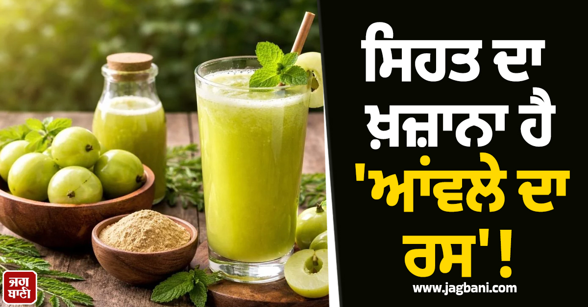 ਸਿਹਤ ਦਾ ਖ਼ਜ਼ਾਨਾ ਹੈ 'ਆਂਵਲੇ ਦਾ ਰਸ'! ਰੋਜ਼ਾਨਾ ਸਿਰਫ਼ ਇਕ ਗਲਾਸ ਪੀਣ ਨਾਲ ਸਰੀਰ 'ਚ ਹੋਣਗੇ ਇਹ ਚਮਤਕਾਰੀ ਬਦਲਾਅ