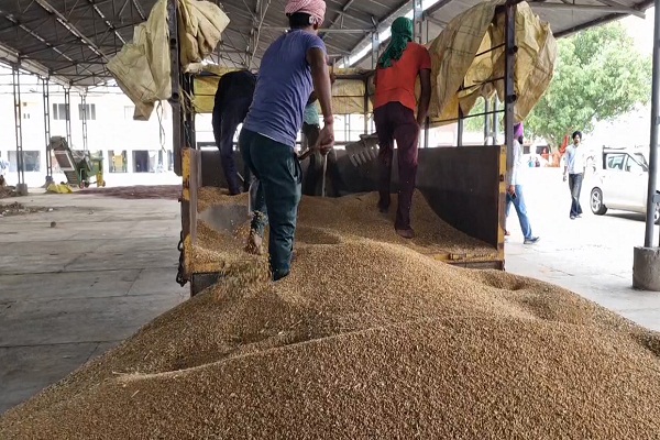 ਪੰਜਾਬ ''ਚ ਕਣਕ ਦਾ ਸੀਜ਼ਨ ਸ਼ੁਰੂ, ਚੌਥੇ ਦਿਨ ਖੰਨਾ ਦੀ ਮੰਡੀ ''ਚ ਪੁੱਜੀ ਕਣਕ ਦੀ ਪਹਿਲੀ ਢੇਰੀ