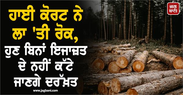 tree cutting ban without permission