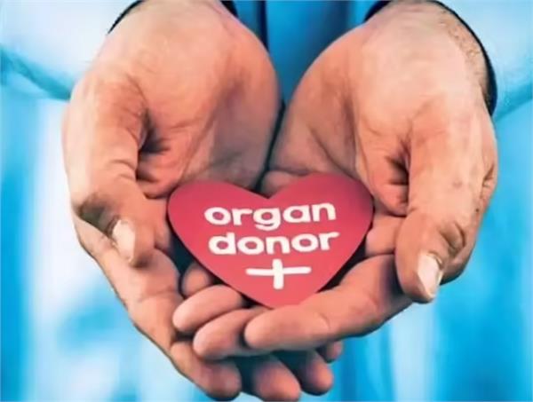 mother  son  brain dead  organ donation